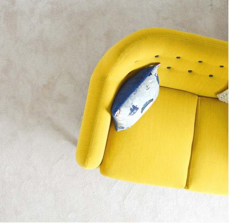 Showroom Hogarolivo
